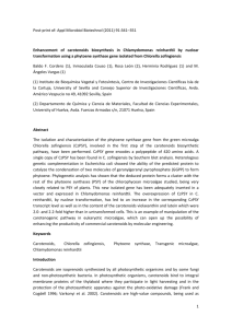 Post-print of: Appl Microbiol Biotechnol (2011) 91:341–351