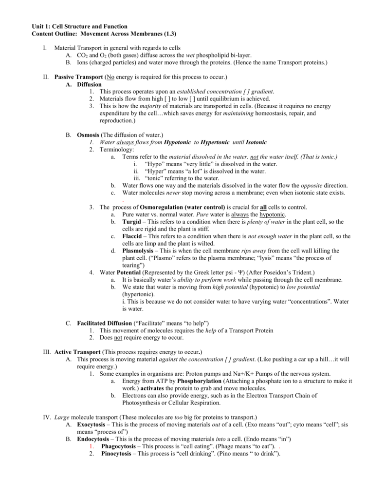 20.20 Movement Across the Membrane With Cell Membrane Worksheet Answers