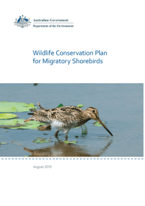 Wildlife Conservation Plan for Migratory Shorebirds