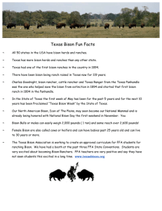 TBA Fact Sheet - Texas Bison Association