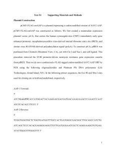Text S1 Supporting Materials and Methods Plasmid Construction