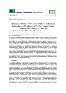 Influence of Different Pretreatment Methods on Biomass Gasification