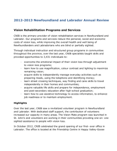 2012-2013 Newfoundland and Labrador Annual Review