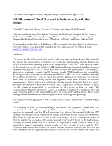 NADH sensor of blood flow need brain, muscle, and other tissue