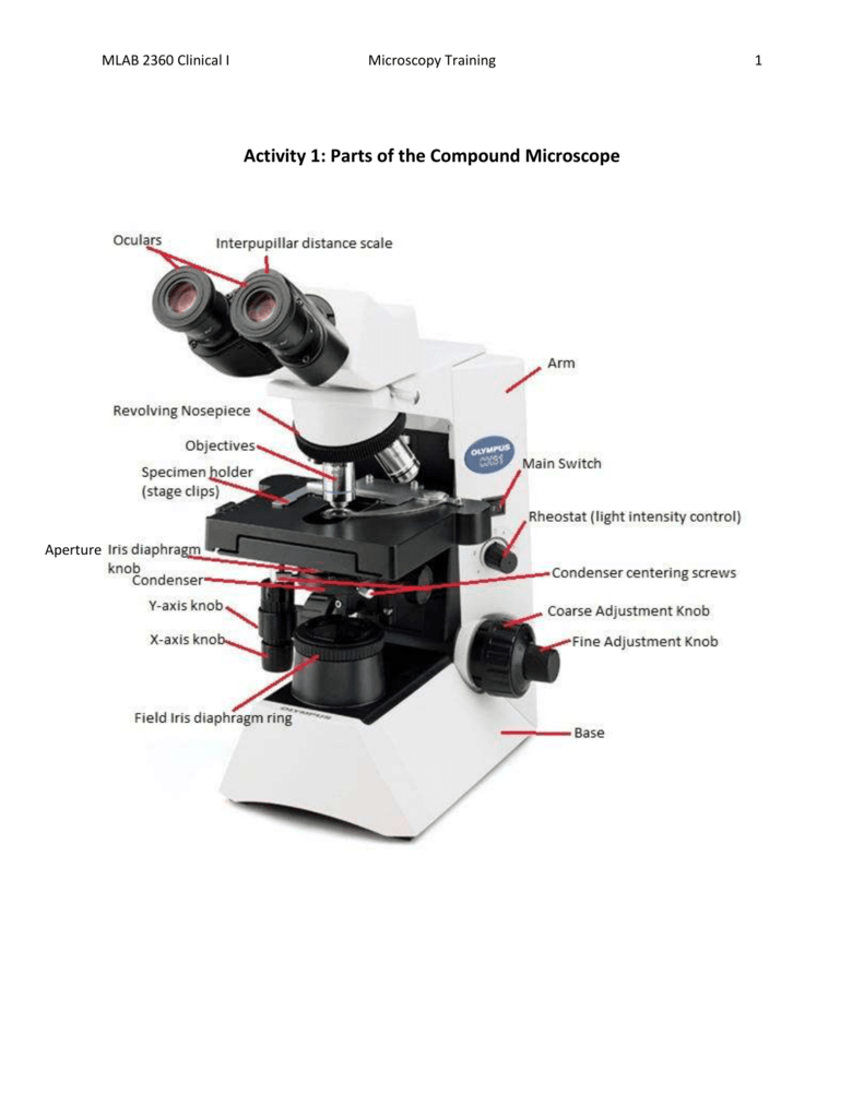Microscope Labeled Parts Iris Diaphragm Exe Iris Diaphragms Limit Microscope Labeled Parts Iris Diaphragm Exe Iris Diaphragms Limit