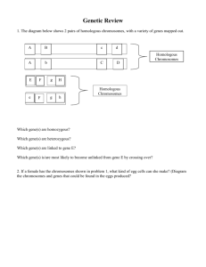 Genetic and heredity Review 09