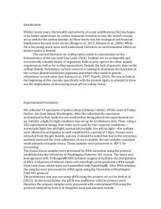 Fish411 Research paper 145KB Dec 02 2013 08