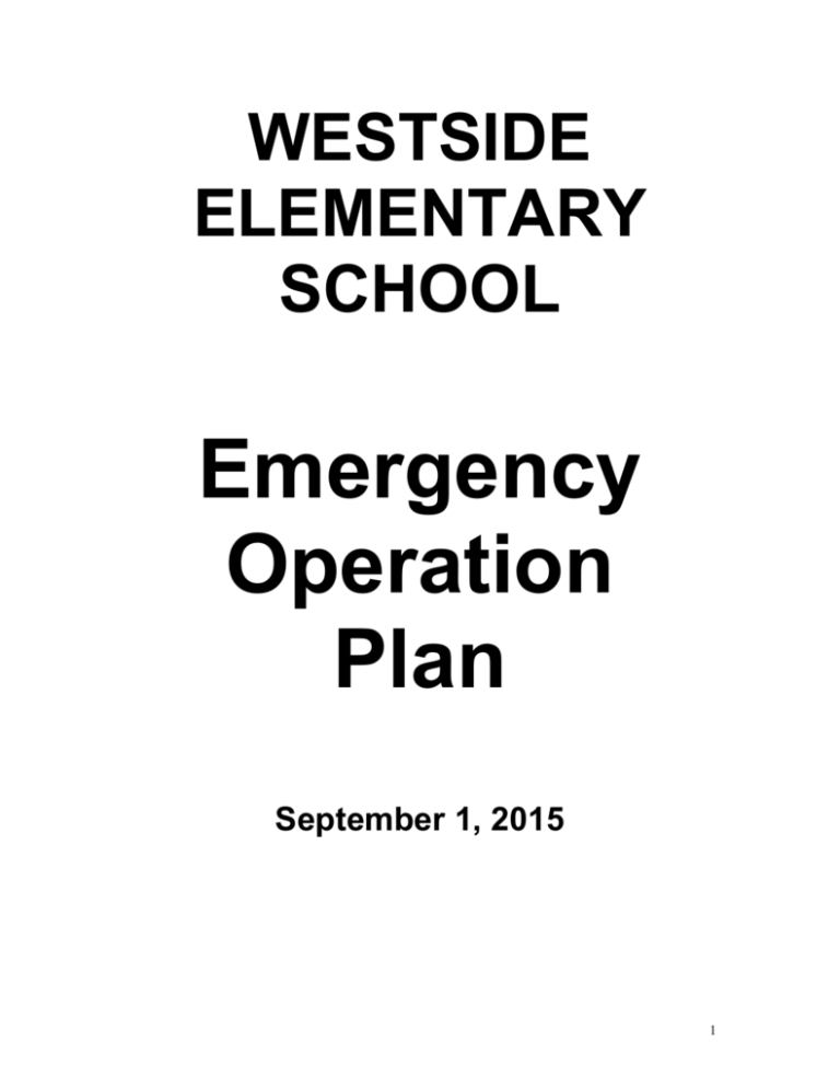 Plan Polk School District