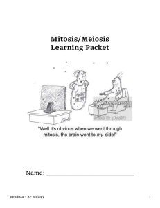 Mitosis and Meiosis Review Quiz