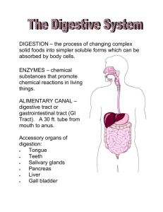 Digestive notes - Powell County Schools