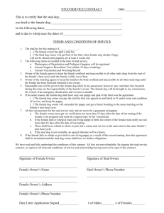 Stud Service Contract