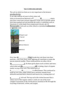 Soils notes and tasks