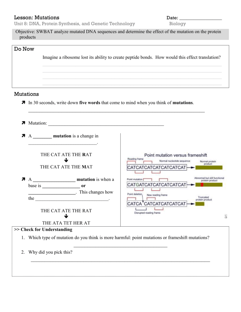 Dna Mutations Practice Worksheet Answer