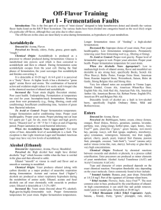 Off-Flavor_Training_Part_I_-_Fermentation_Faults(1)