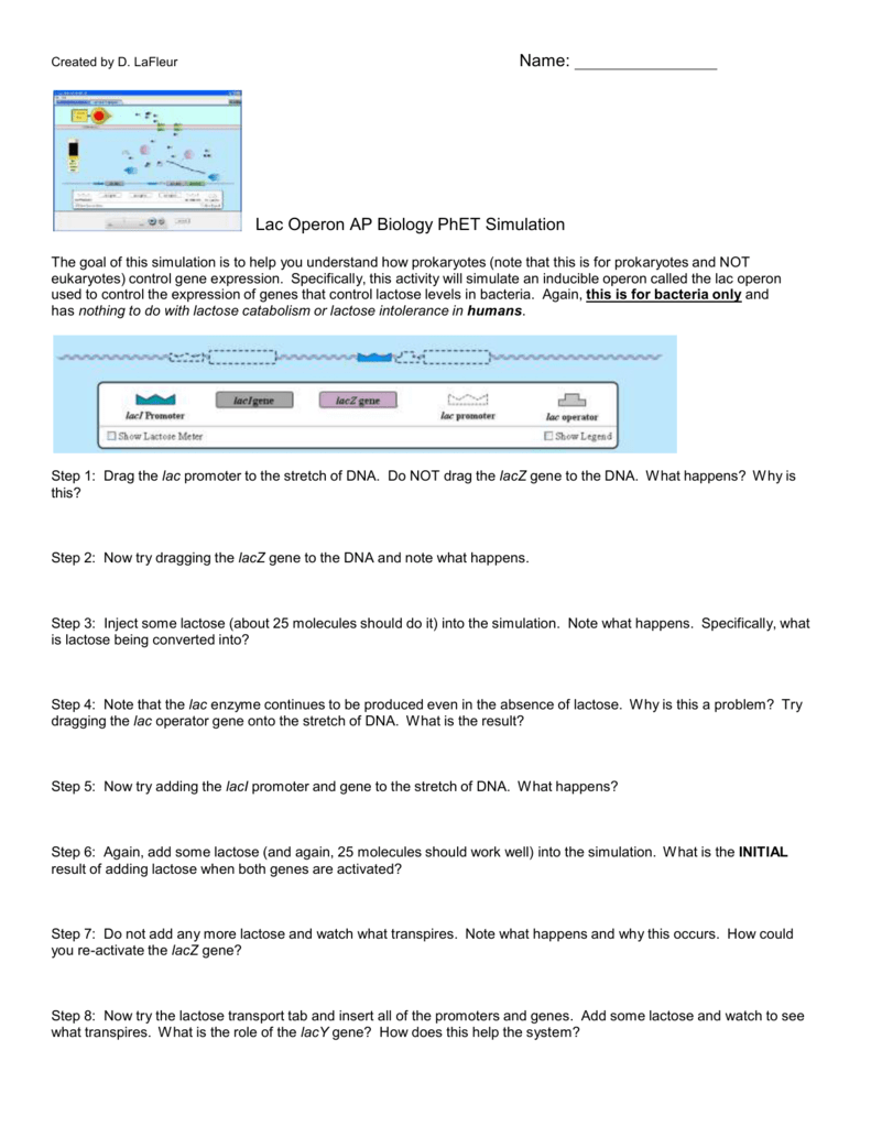 Lac Operon AP Biology PhET Simulation 1 