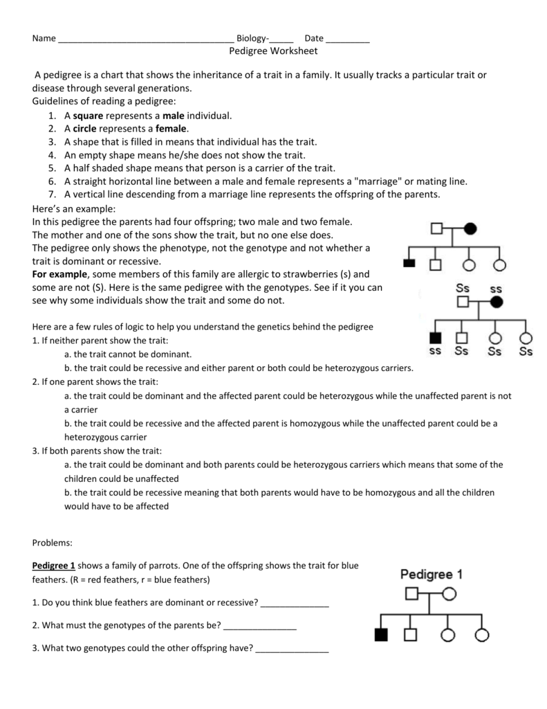 Pedigree Worksheet Answer Key