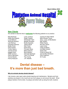 March Edition 2013 - Plantation Animal Hospital