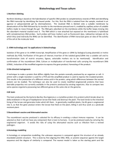 Biotechnology and Tissue culture