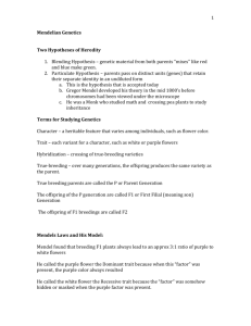 Mendelian Genetics Two Hypotheses of Heredity Blending