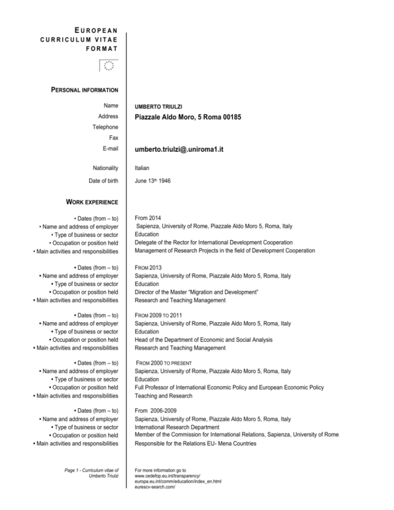 European Cv Format Curriculum Vitae CV Format Example Plus European Cv Format Curriculum Vitae CV Format Example Plus