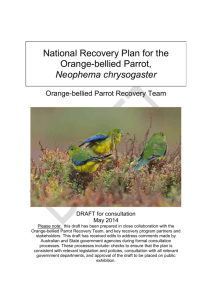 National Recovery Plan for the Orange