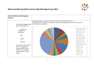 BME Monthly Reporting July13 V.1
