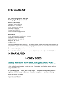 The Value of Honey Bees in MD_9-17