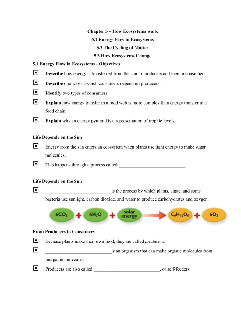 Chapter 1111 – How Ecosystems work 1111.11 Energy Flow in Ecosystems Regarding Energy Flow In Ecosystems Worksheet