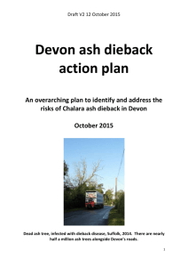Devon ash dieback action plan