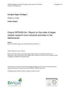 Algae Market Assessment - AIN – The Algal Information Network!