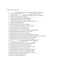 Chapter 20 Quiz Study Guide
