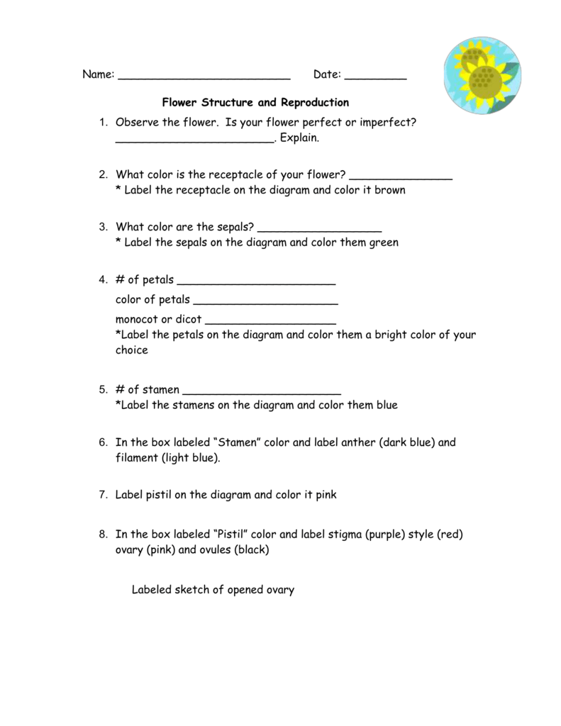 flower-structure-and-reproduction-worksheet-answers-coloring-best