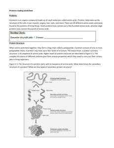 Proteins reading worksheet Proteins: A protein is an organic