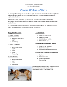 Canine-Wellness-Packages