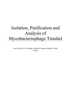 Isolation, Purification and Analysis of Mycobacteriophage Timshel