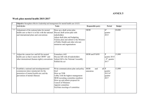 ANNEX 5 Work plan mental health 2015-2017