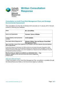 consultation on the draft flood risk management plan