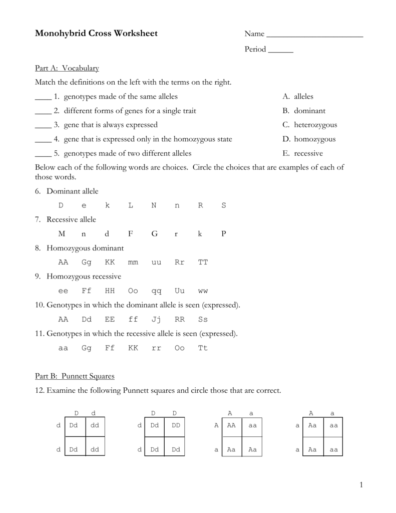 Part C: Monohybrid Cross Problems With Monohybrid Cross Worksheet Answers