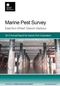 2013 - Marine Pest Survey - East Arm Wharf