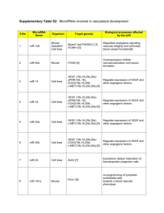 Supplementary Table S2: MicroRNAs involved in vasculature