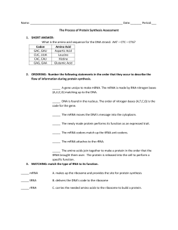 english essay about globalization effects