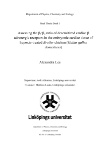 Alexandra Lee thesis draft version 2010-04-14