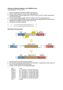 Oligonucleotide cloning protocol