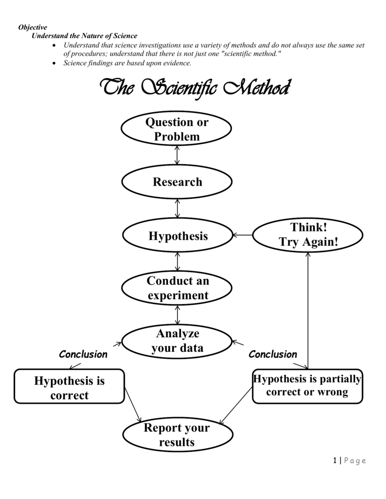 Scientific Method Worksheet In The Nature Of Science Worksheet