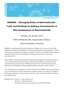 MARINA – Managing Risks of Nanomaterials