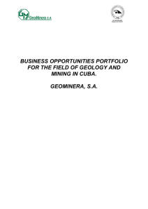 BUSINESS OPPORTUNITIES PORTFOLIO FOR THE FIELD OF