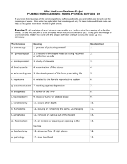 Common Prefixes, Suffixes, and Roots