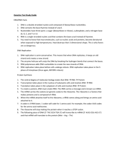 Genetics Test Study Guide - Mater Academy Lakes High School