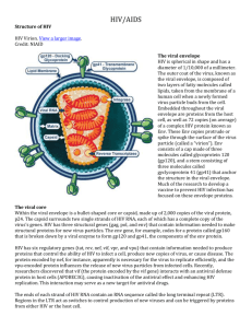 HIV life cycle diagram