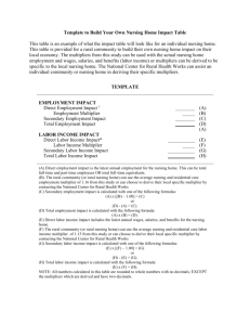 Template to Build Local Nursing Home Impact